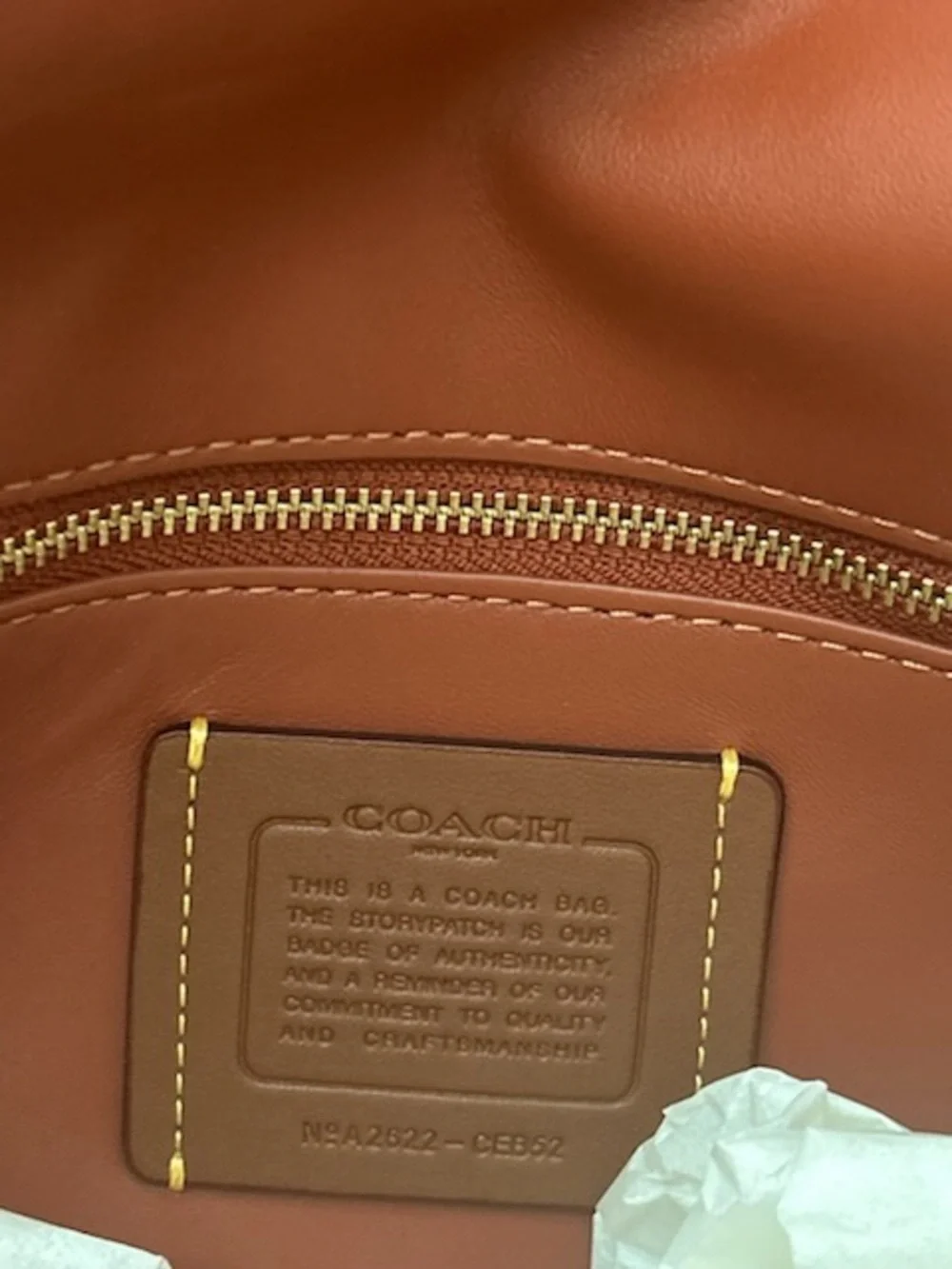 Coach Men’s Suede Messenger Bag in Chestnut
